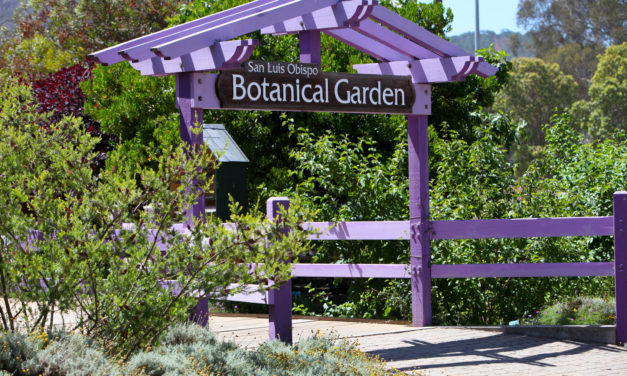 Botanical Garden Gets New Lease