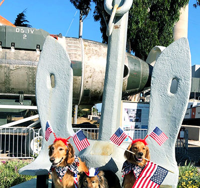 Patriotic Pooches  Visit Museum