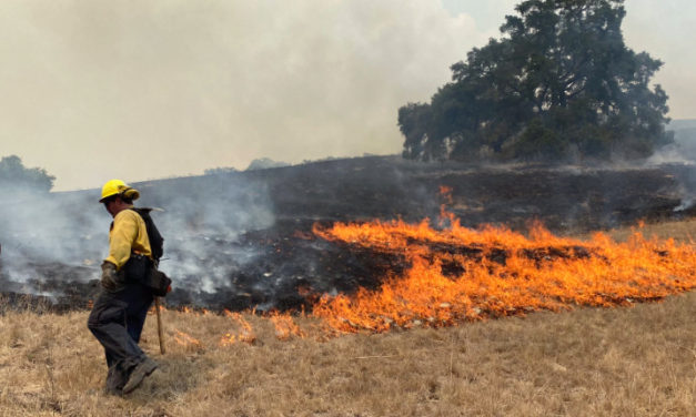 Lightning Strikes  Probable Cause of Cayucos Fires
