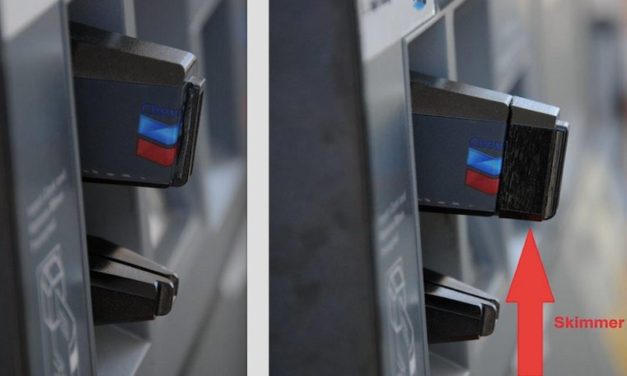 Skimmers Found at  Morro Bay Station