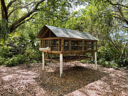 Poly Study Finds Increased Risk of West Nile Virus