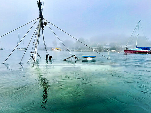 Sad Ending for the Lady Maxine