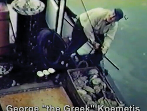 Abalone Fishery History Told in New Film; Debut is Aug. 22