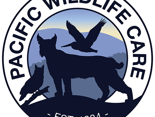 New Logo for a New Future