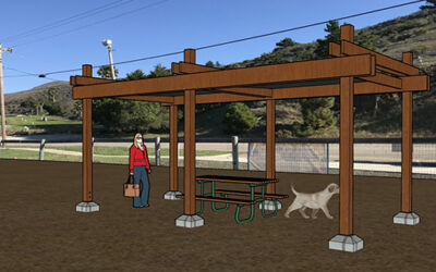 Cayucos Dog Park- From Humble Beginnings  and Humble Still By Debbie Black