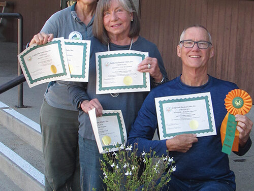 Los Osos Valley Garden Club Celebrates 90