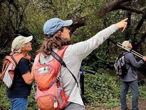 Morro Bay Bird Festival Set For January 13-16, 2023