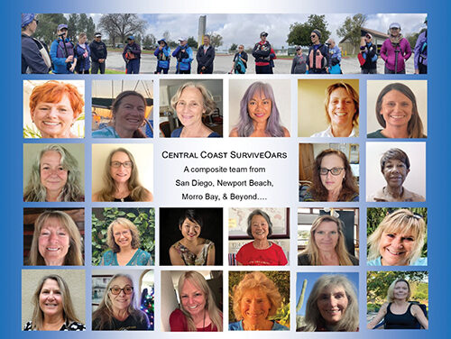 SurviveOars to Race Dragon Boats in New Zealand