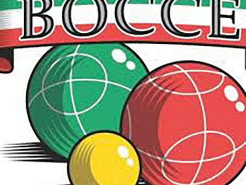 Grown-ups Have a New Place to Play