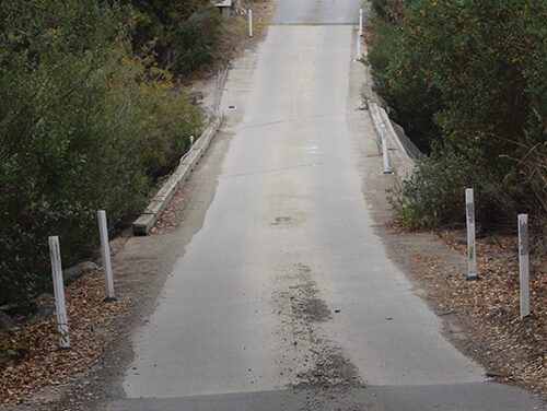 Residents Balk at City Plans for Canet Road Walk-Bridge