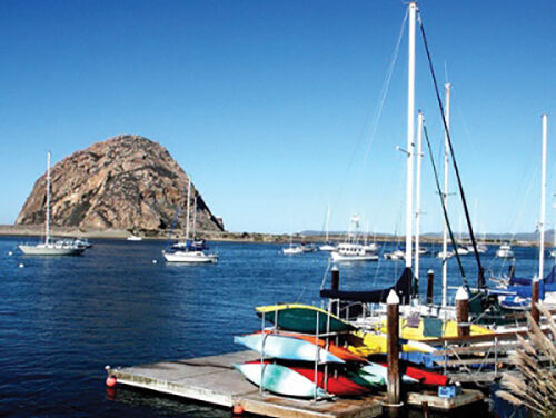 Harbor Happenings Highlights