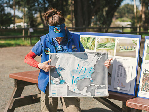 Volunteer Opportunities for Local State Parks