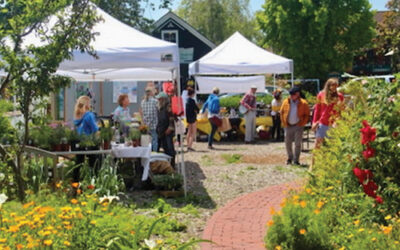 Experts to Share Knowledge at Bee, Butterfly & Bat Faire