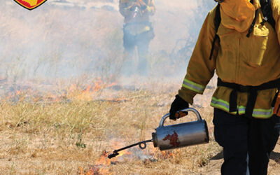 Cal Fire Warns of High Fire Danger