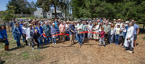 Trinity Church Opens Garden