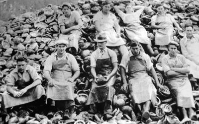 Abalone in Morro Bay: Part 2