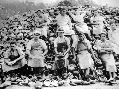 Abalone in Morro Bay: Part 2