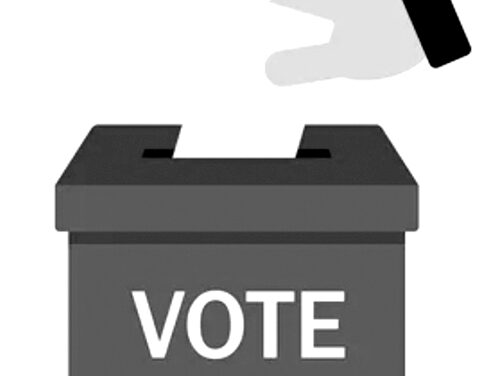 Election Timeline for Voters