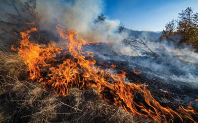 Early Fire Season Declared