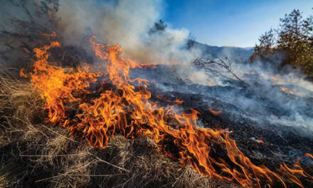 Early Fire Season Declared