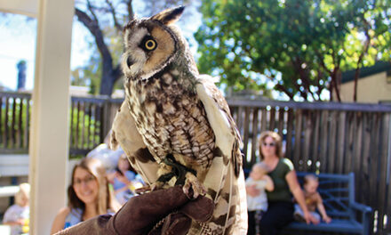 Critters at the Morro Bay Library 