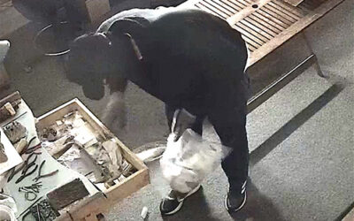 Cayucos Jeweler Burgled