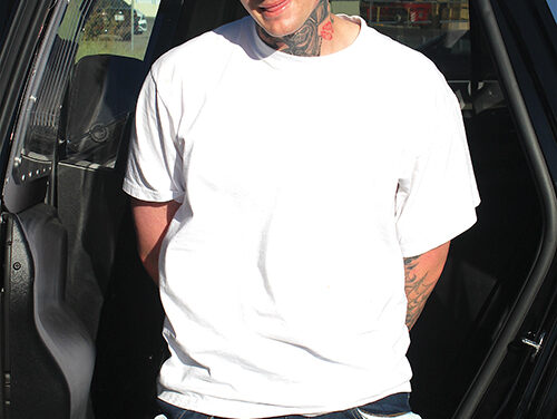 Alleged Burglar Has Been Busy