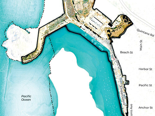 City Polling on Waterfront Master Plan