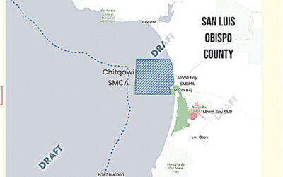 State Proposing New Protected Area in Estero Bay