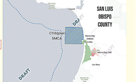 State Proposing New Protected Area in Estero Bay