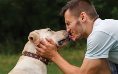 Human Brain Vs Dog Brain