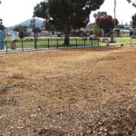 Report Seeks to Reclaim City Park