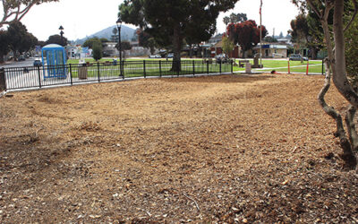 Report Seeks to Reclaim City Park