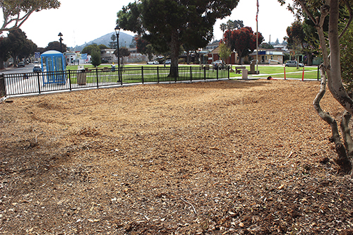 Report Seeks to Reclaim City Park