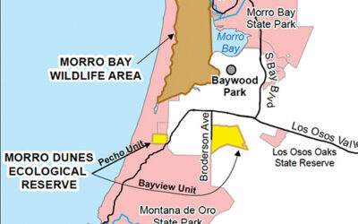 Cal Fire Burns in Ecological Reserve