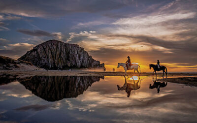 Beach Photo Contests Open