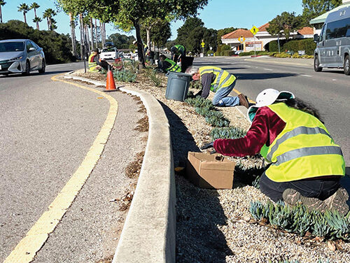 Celebrate Los Osos, Volunteers Needed Oct. 3