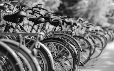 Sheriff to Auction Bikes