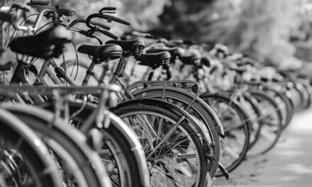 Sheriff to Auction Bikes