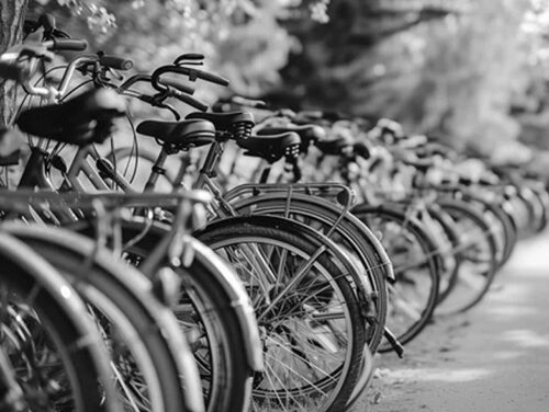 Sheriff to Auction Bikes