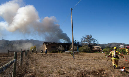 Dog Dies in Los Osos House Fire 