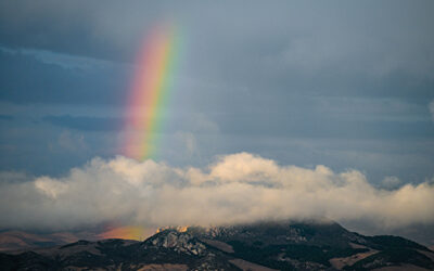 El Niño: Watching the Ocean for Clues to Our Winter