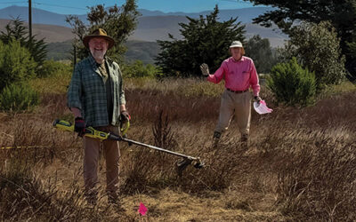 Learn about Pollinators with Garden Club
