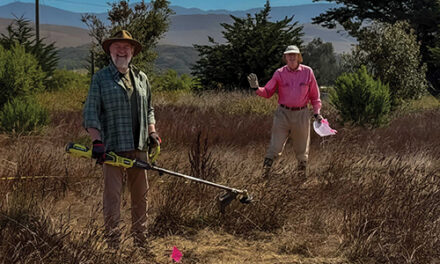 Learn about Pollinators with Garden Club