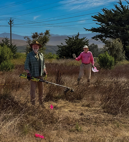 Site Preparation – String Trimming